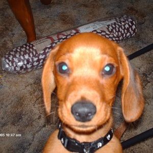 Meet your Posher, Sandra